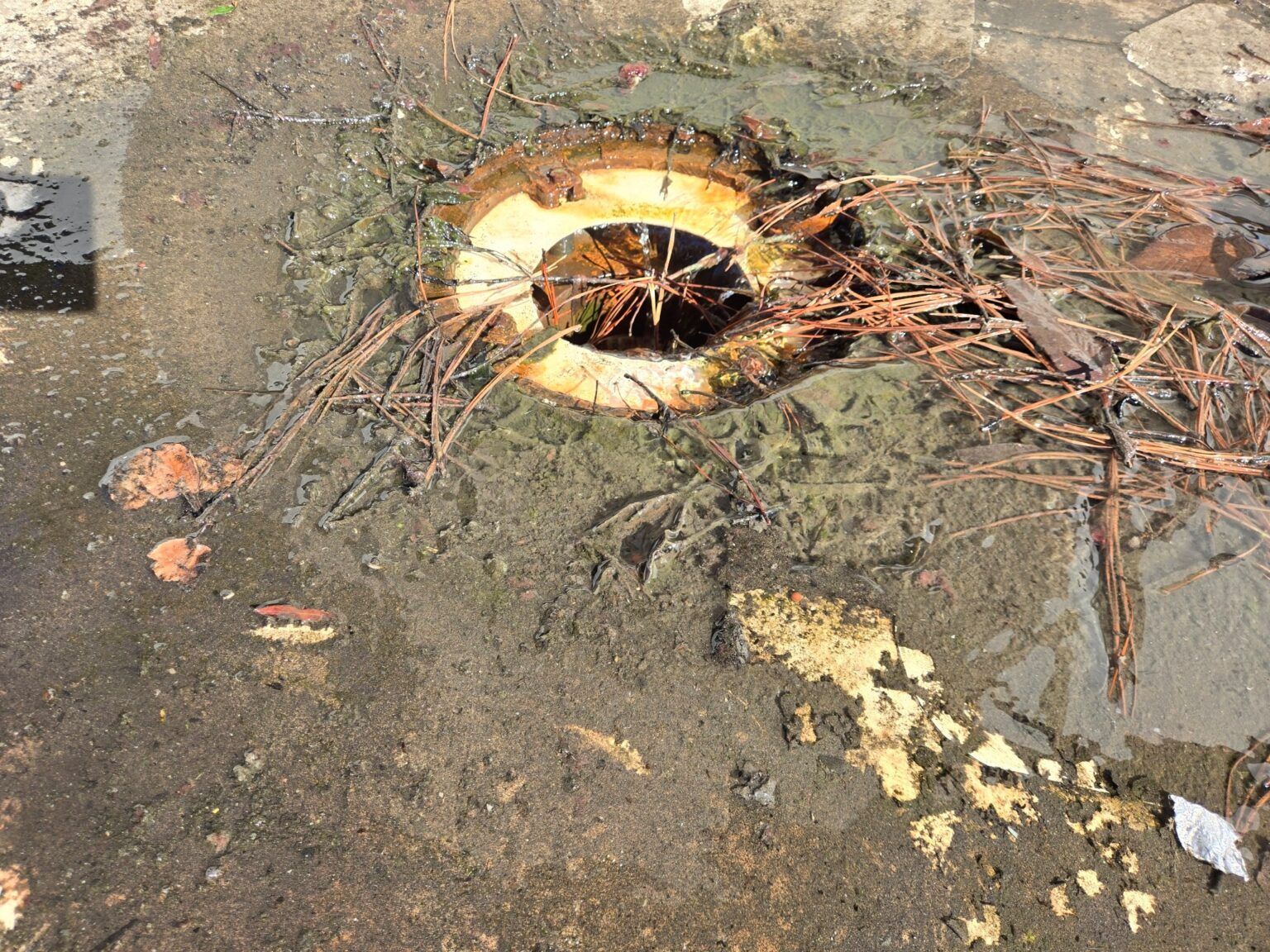 Muddy ground with a rusty, open drain surrounded by debris and yellowish stains.