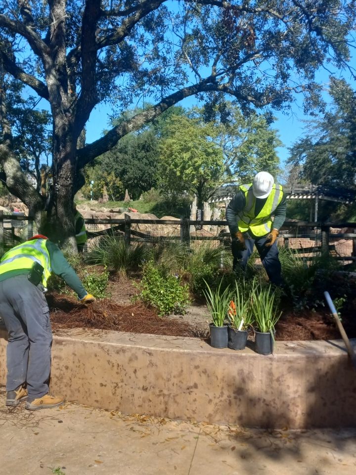 Commercial Landscaping Gallery Lutz, FL Crowder's Landscaping