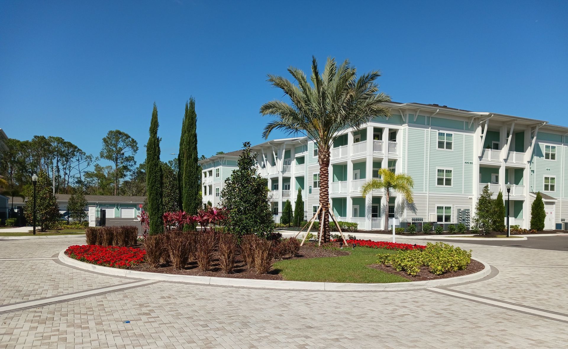 A large white building with a palm tree in front of it