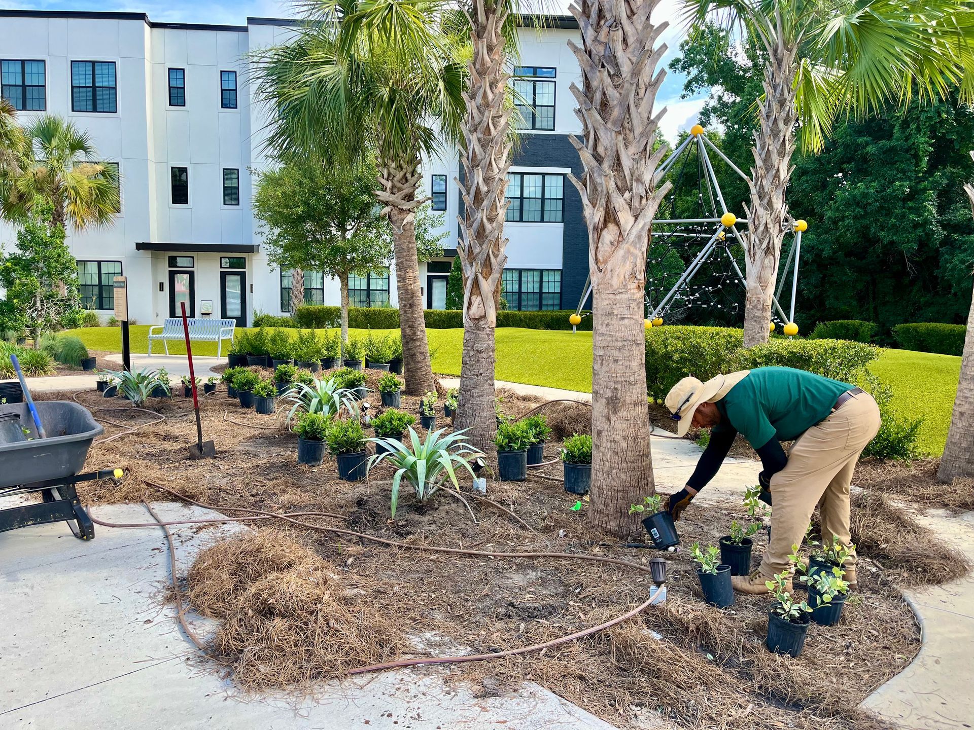 Workers planting shrubs in a roadside flower bed beside a sidewalk and parked truck