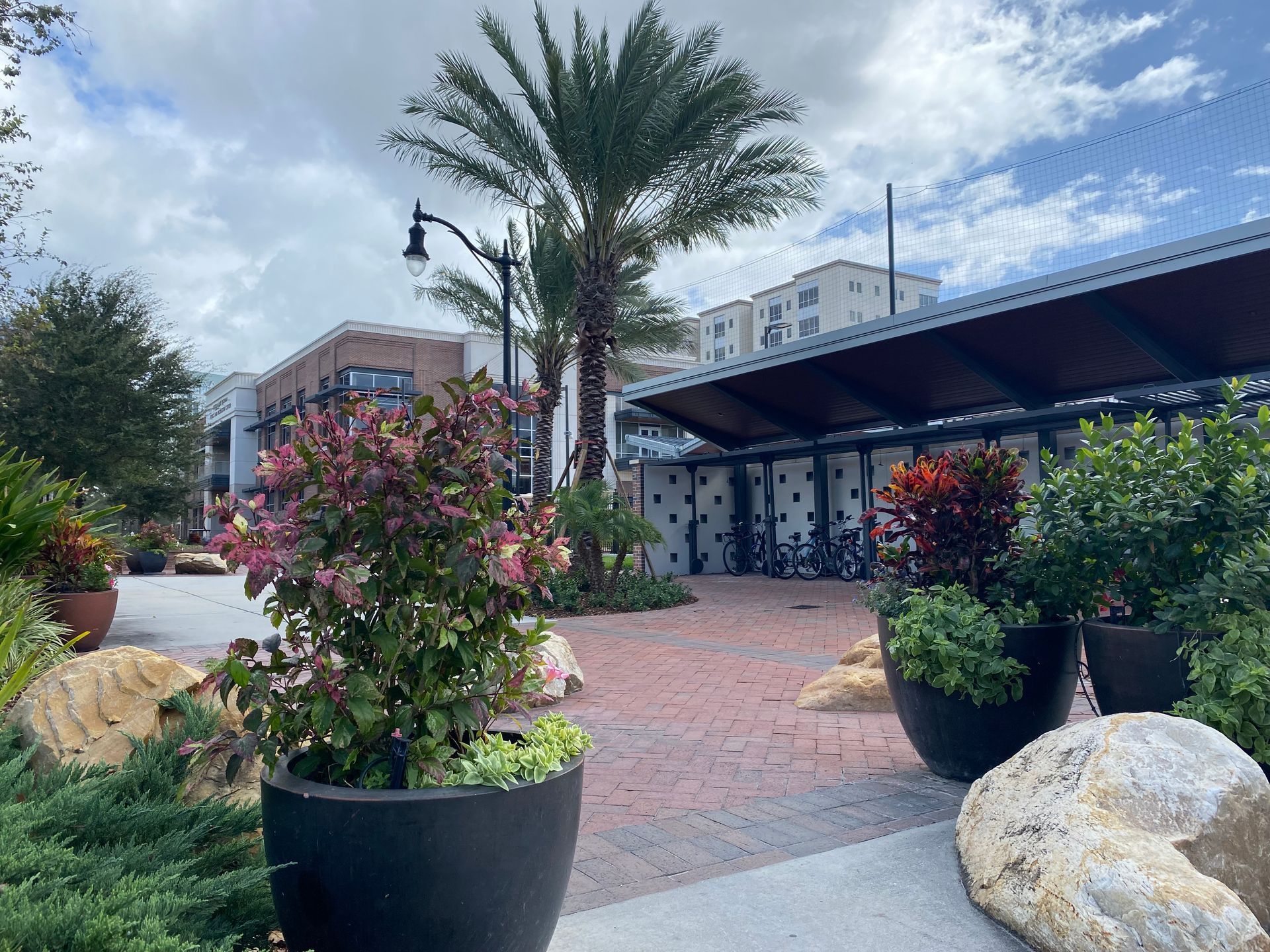 A brick walkway with potted plants and a palm tree in the background.