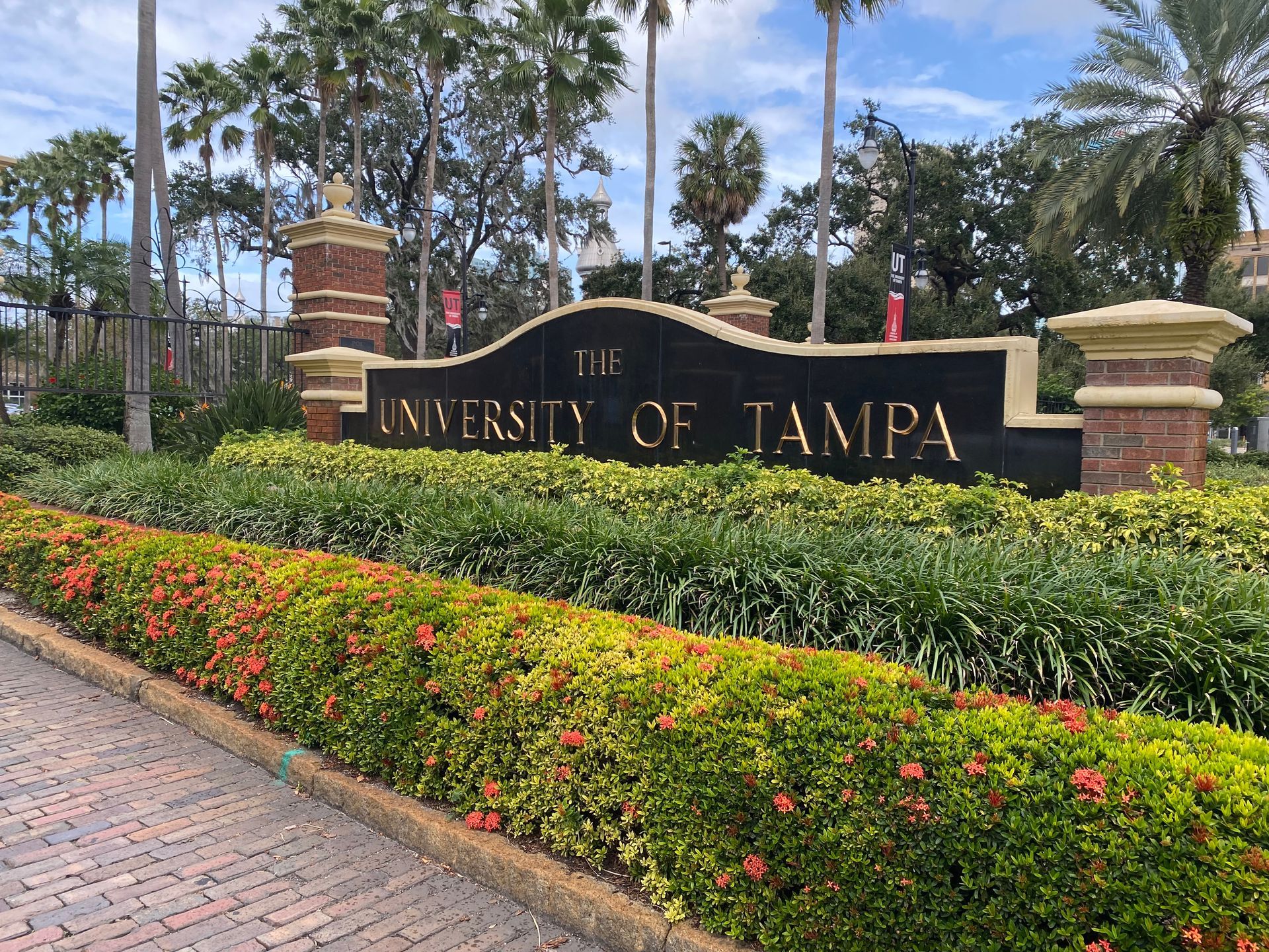 A sign for the university of tampa is surrounded by bushes and trees.