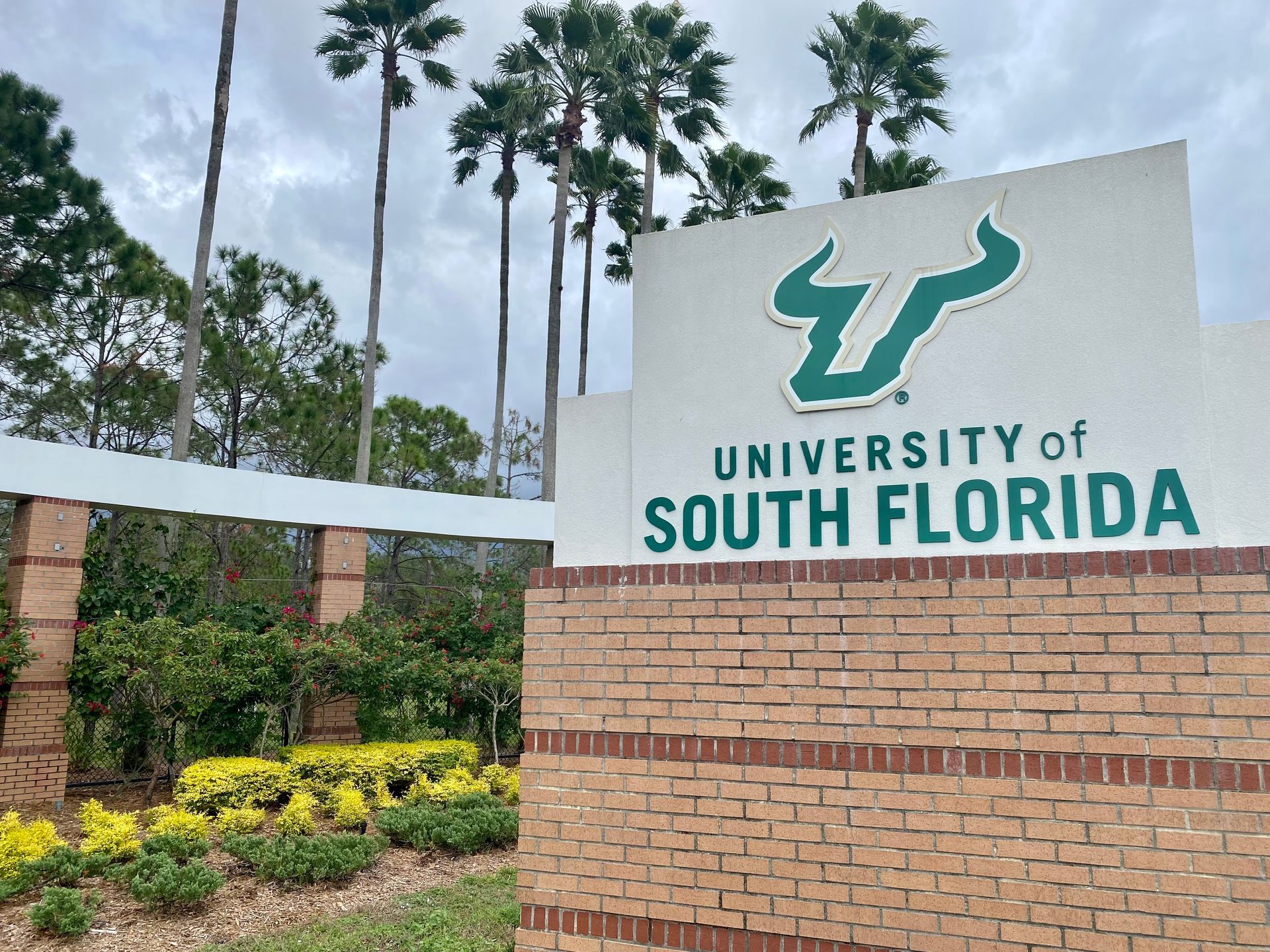A sign for the university of south florida is on a brick wall