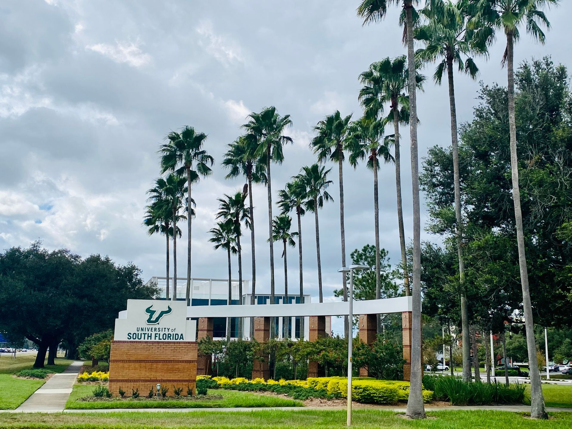 A building with palm trees in front of it