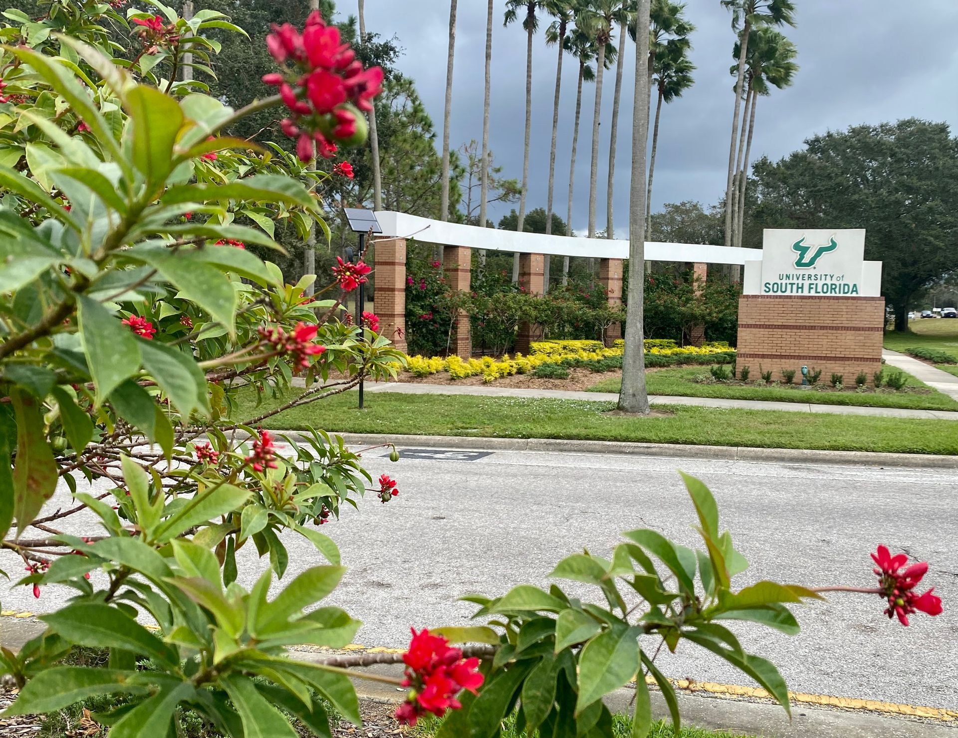 A sign that says ' mermaid ' on it is in front of a bush with red flowers