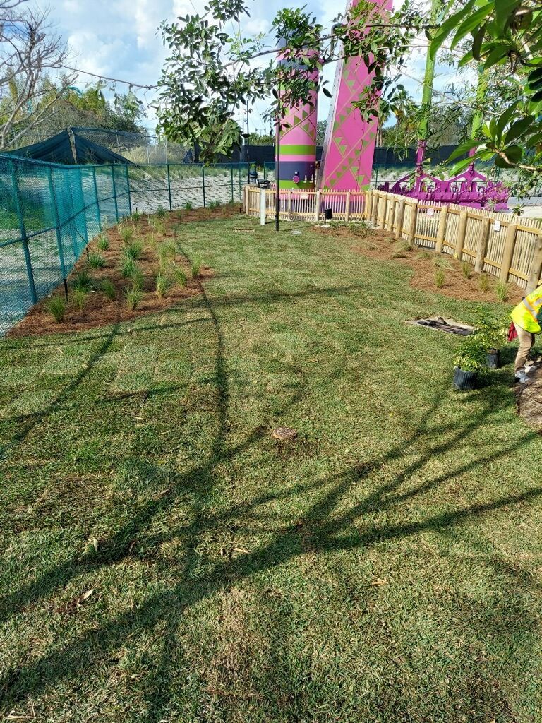 A man is planting trees in a lush green field.-Crowders Landscaping