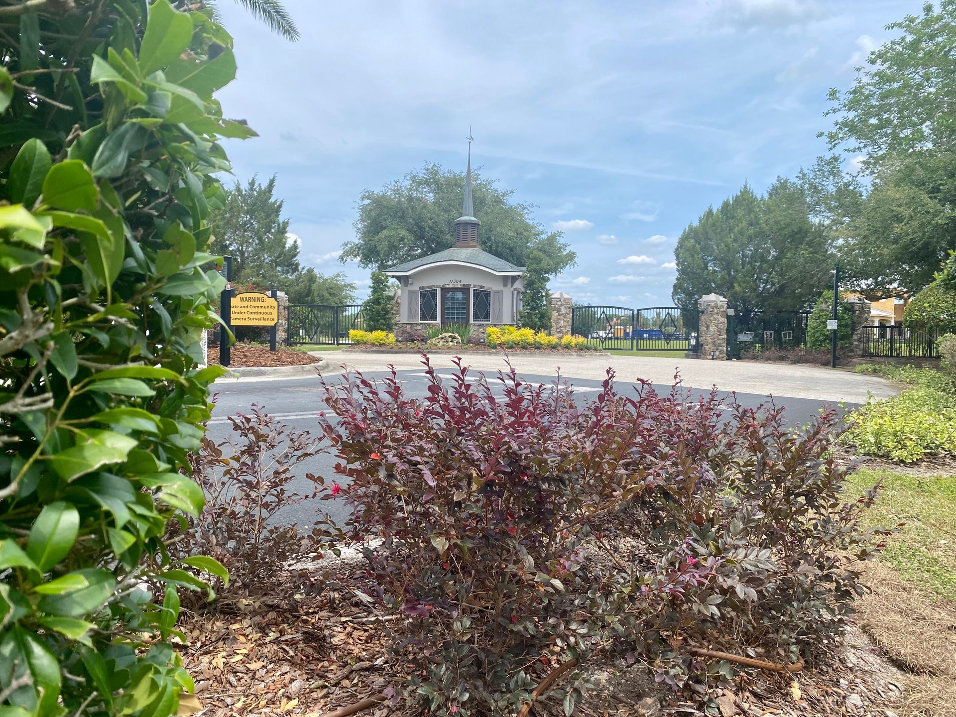 There is a house in the background and a bush in the foreground.