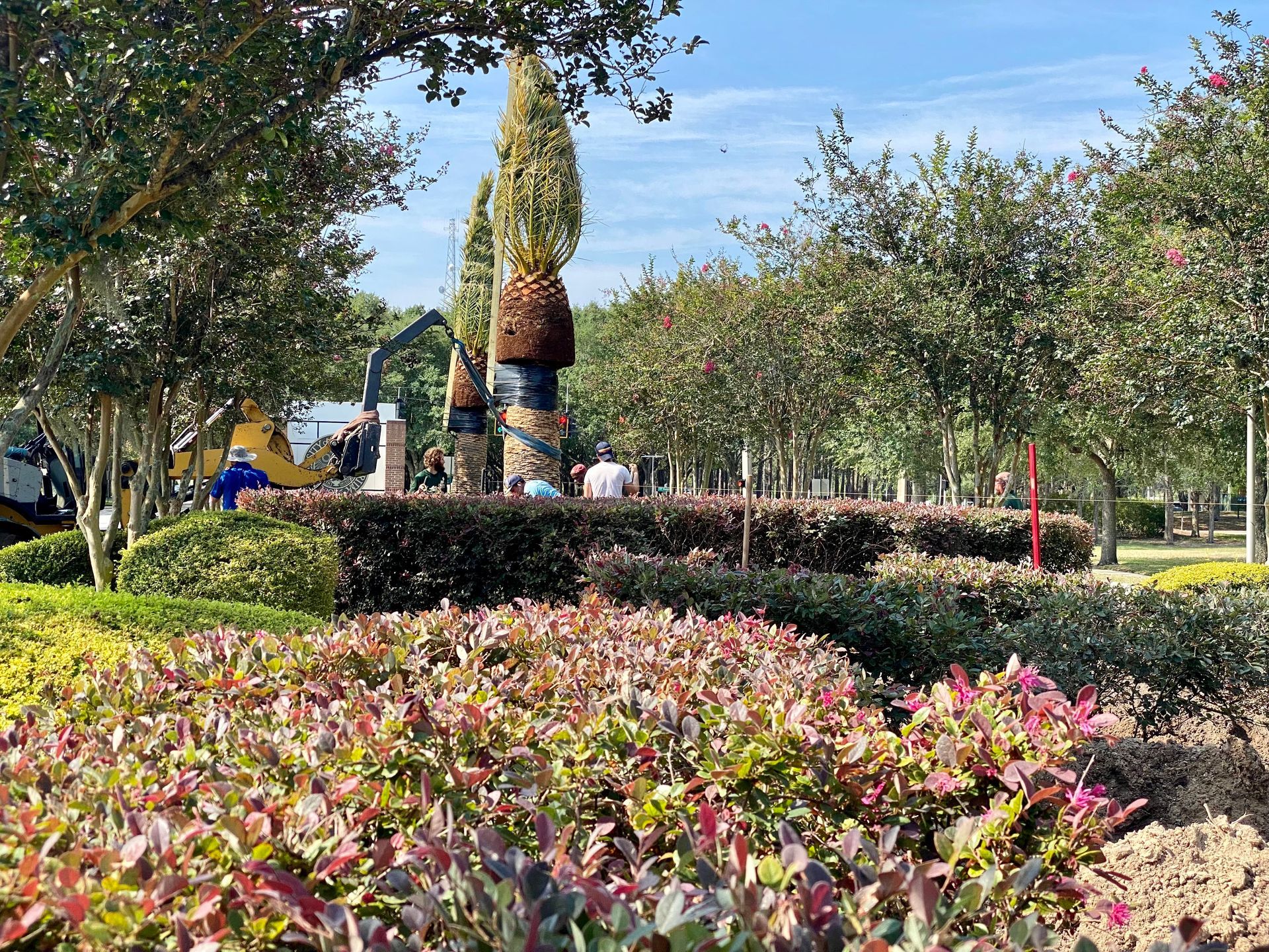 A group of people are standing in a park surrounded by trees and bushes.