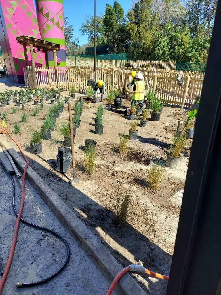 A group of people are planting plants in a garden.-Crowders Landscaping