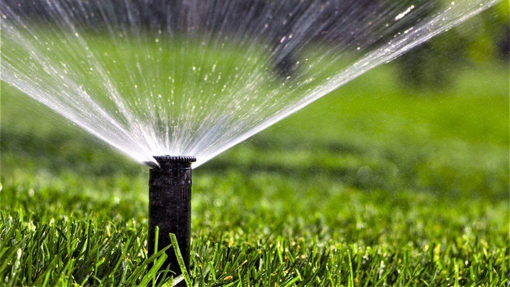 A sprinkler is spraying water on a lush green lawn.