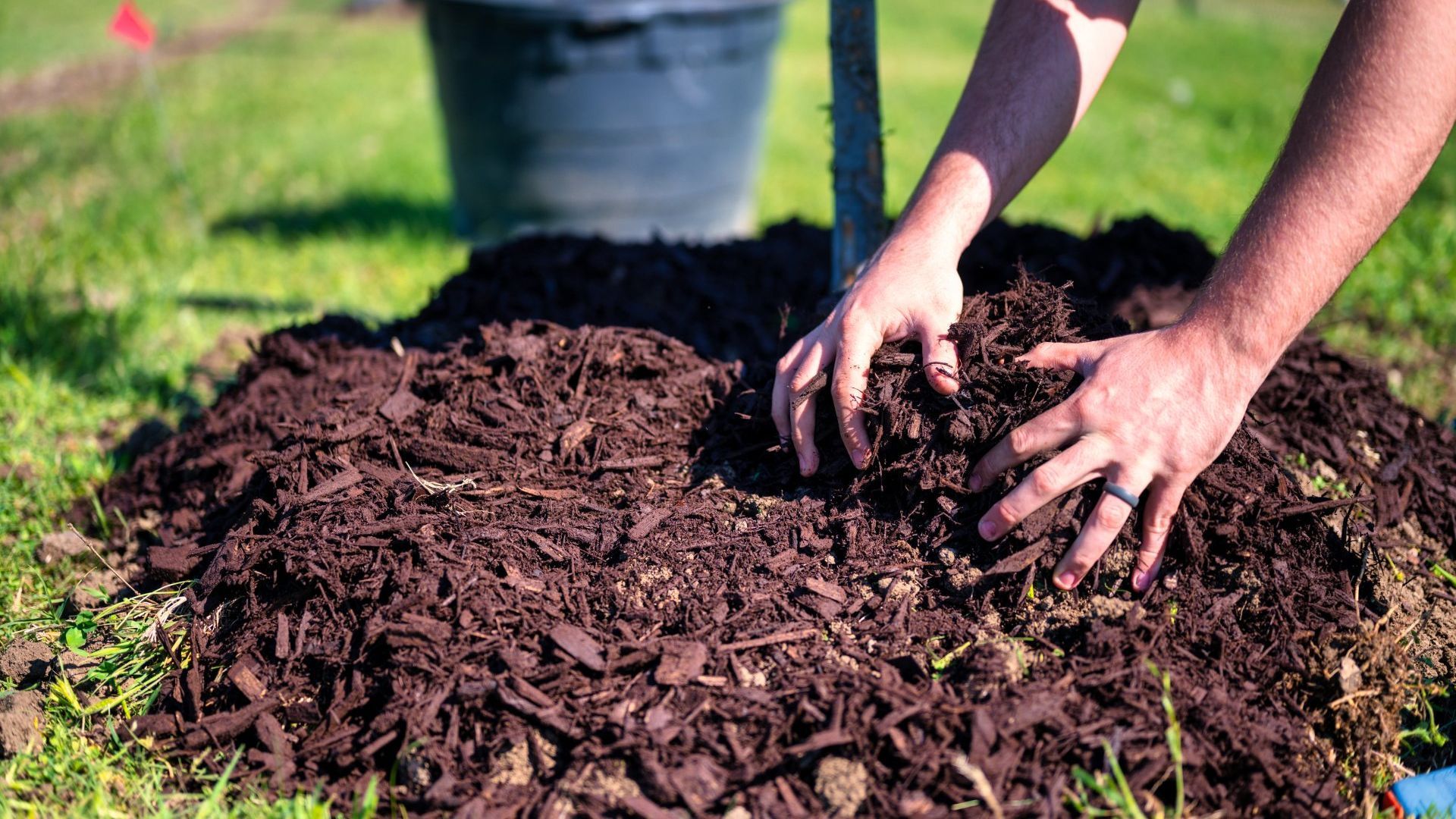 A person is planting a tree in the ground. -Crowders Landscaping