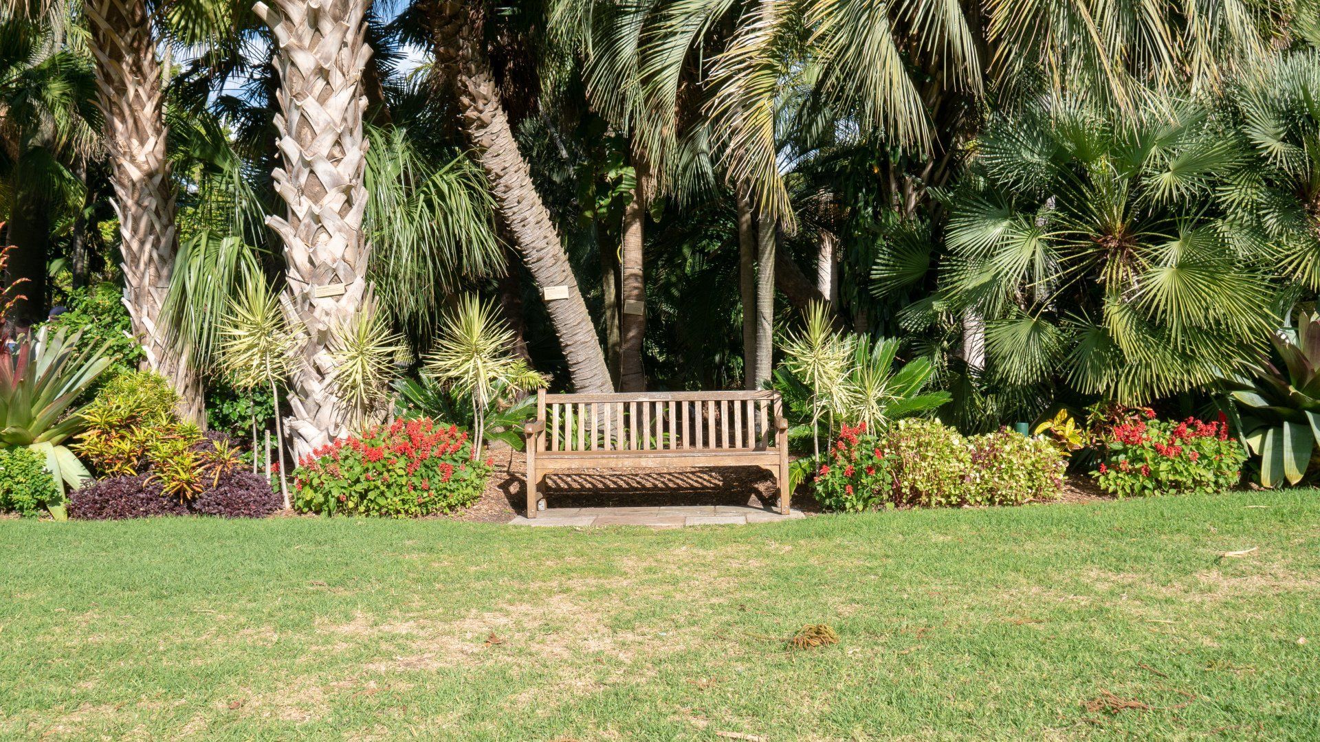 A wooden bench in a park with palm trees in the background- Crowders Landscaping