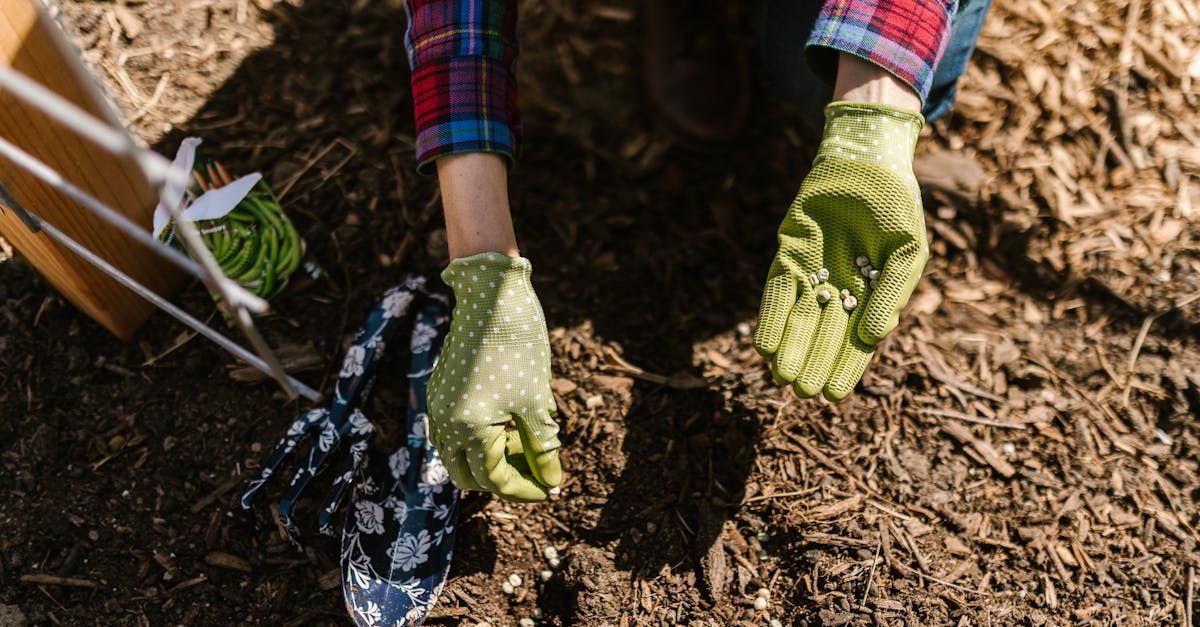 A person wearing green gloves is digging in the dirt.