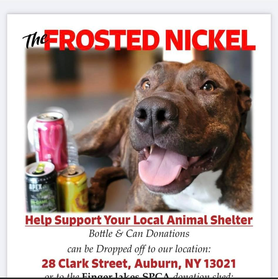 Frosted Nickle Co. Animal Shelter Advertisement — Auburn, NY — Frosted Nickel Co. Frosted Nickle Co. Animal Shelter Advertisement — Auburn, NY — Frosted Nickel Co.