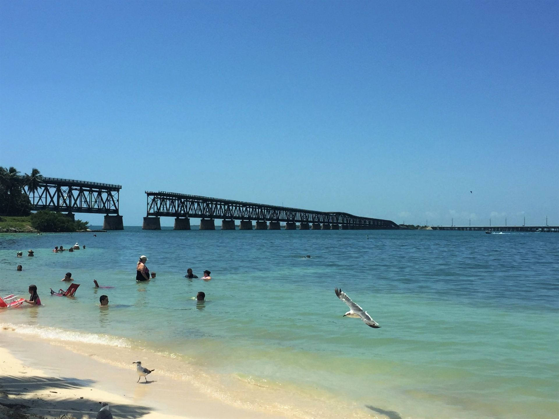 Kingsail Resort Marathon Florida Activities