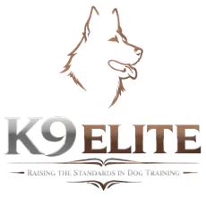 K9 Elite dog training logo with brown dog head outline and gray text, “Raising the Standards in Dog Training”