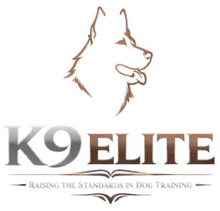 K9 Elite dog training logo with brown dog head outline and gray text, “Raising the Standards in Dog Training”
