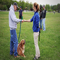 Two people in a park training a golden retriever with a leash while others watch nearby.