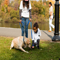 Woman holding dog leashes as a child pets a yellow lab in a park by the water.