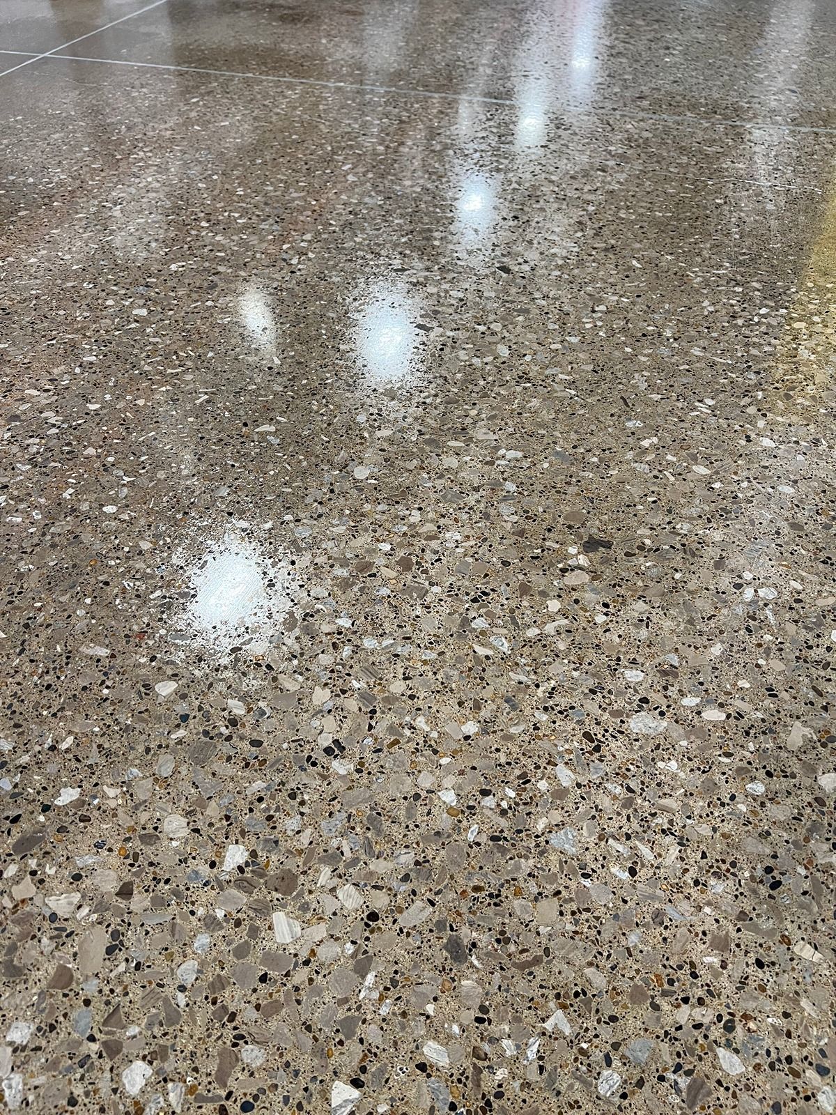 Speckled brown polished floor with bright reflections from overhead lights