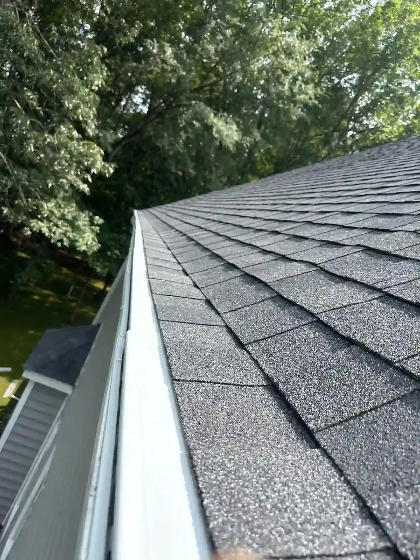 Gray shingled roof edge beside leafy trees and a white gutter in daylight