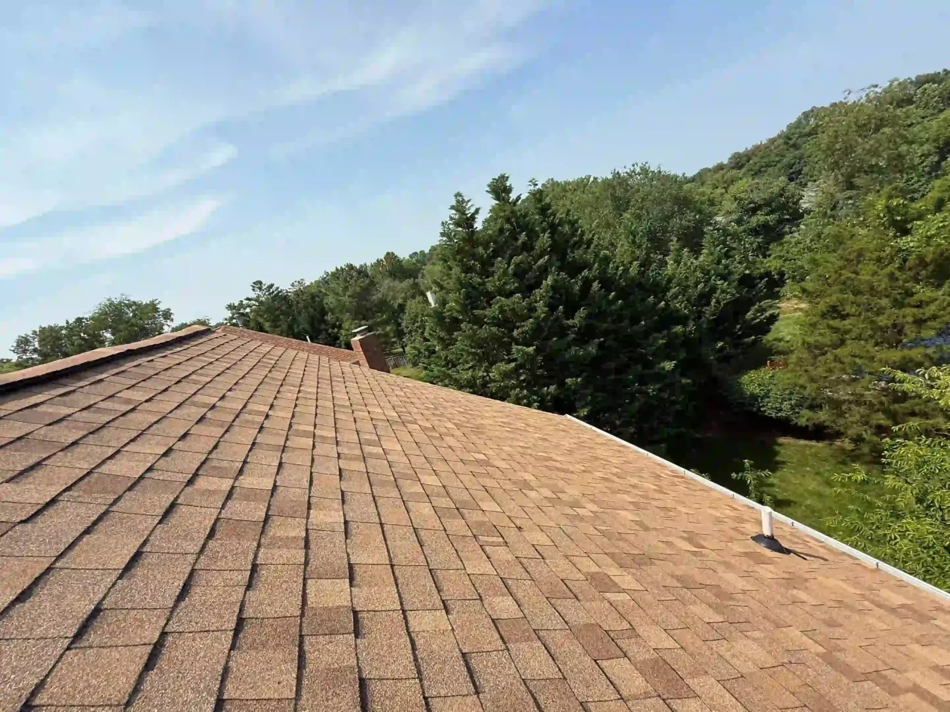 Shingled rooftop with trees and blue sky in the background
