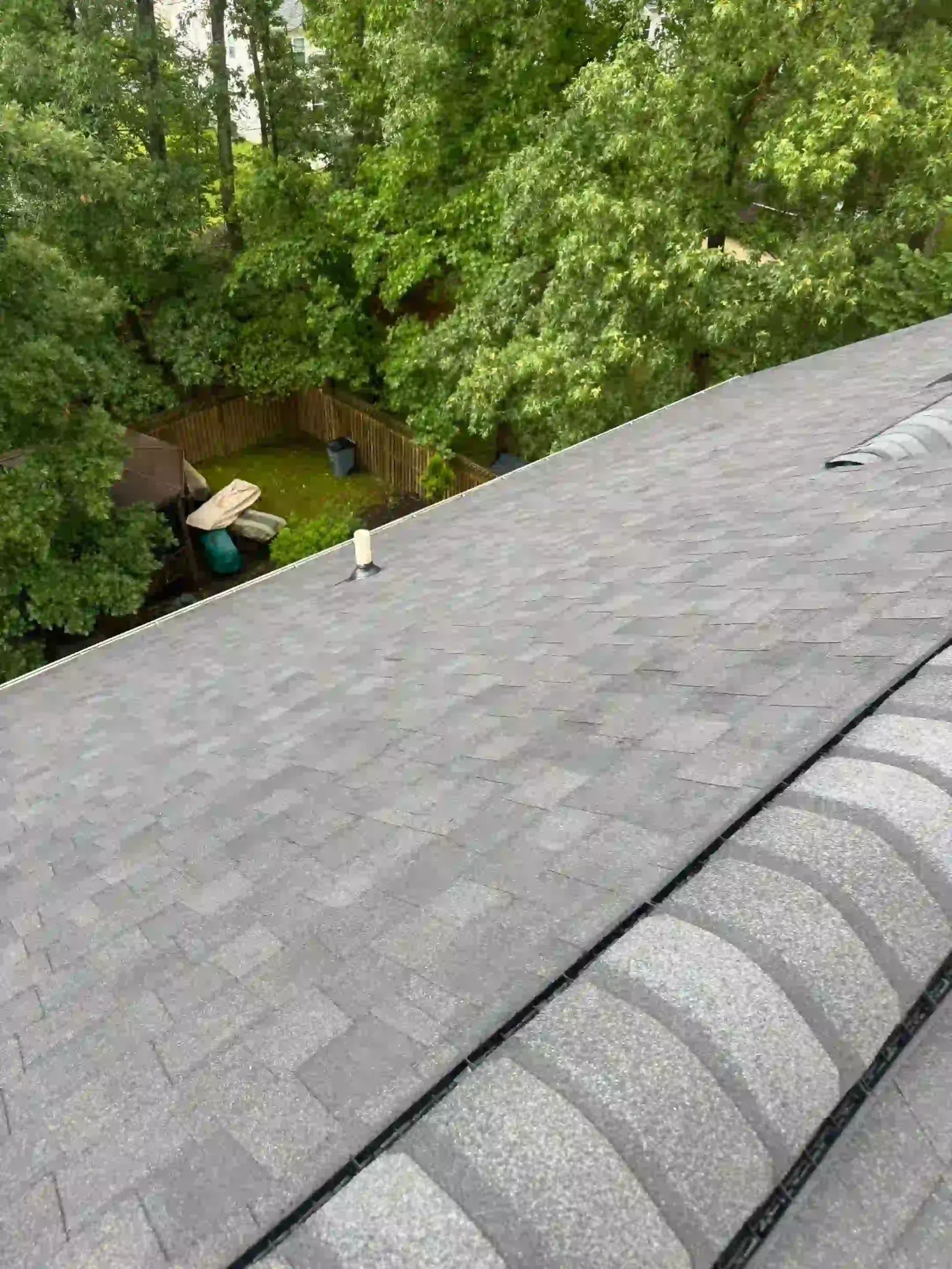 Gray shingled rooftop beside dense green trees, with a small shed visible below.