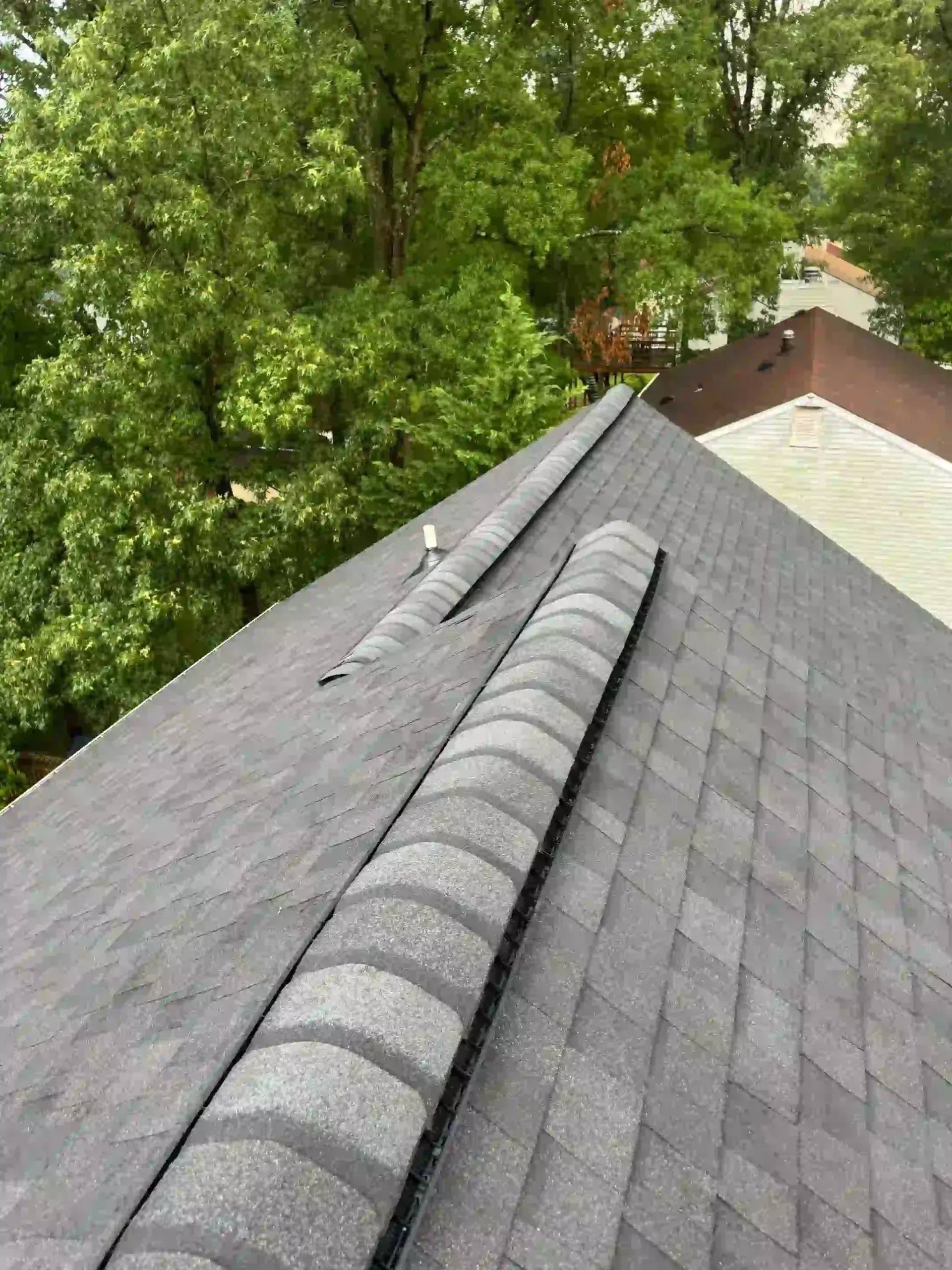 Gray shingled rooftop with a ridge vent, viewed beside leafy green trees and nearby houses