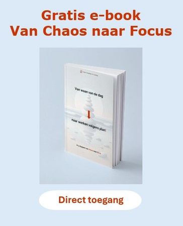 Grijze advertentie voor gratis e-book “Van Chaos naar Focus” met knop “Direct toegang”