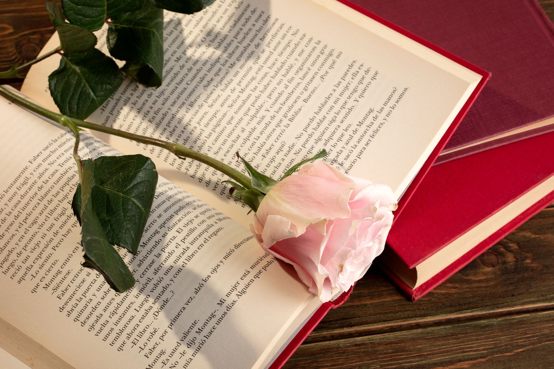 Pink rose resting on an open book beside a closed red book on a wooden table