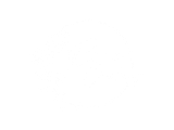Blank white image with a thin black border near the bottom edge.