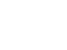 Blank white image with a thin black border near the bottom edge.