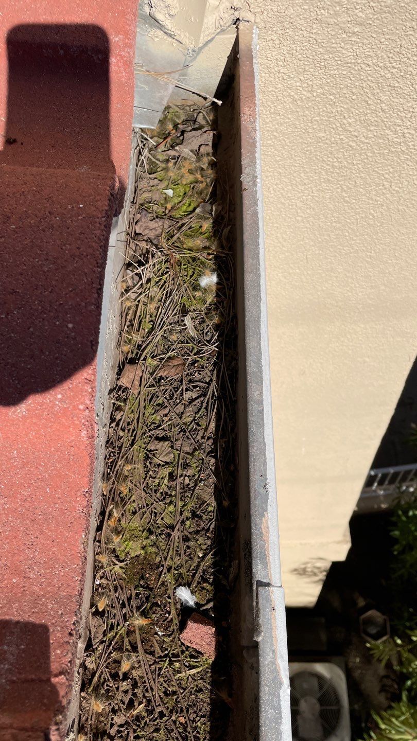 Dirty Gutter — Sacramento, CA — All One Solar Shine