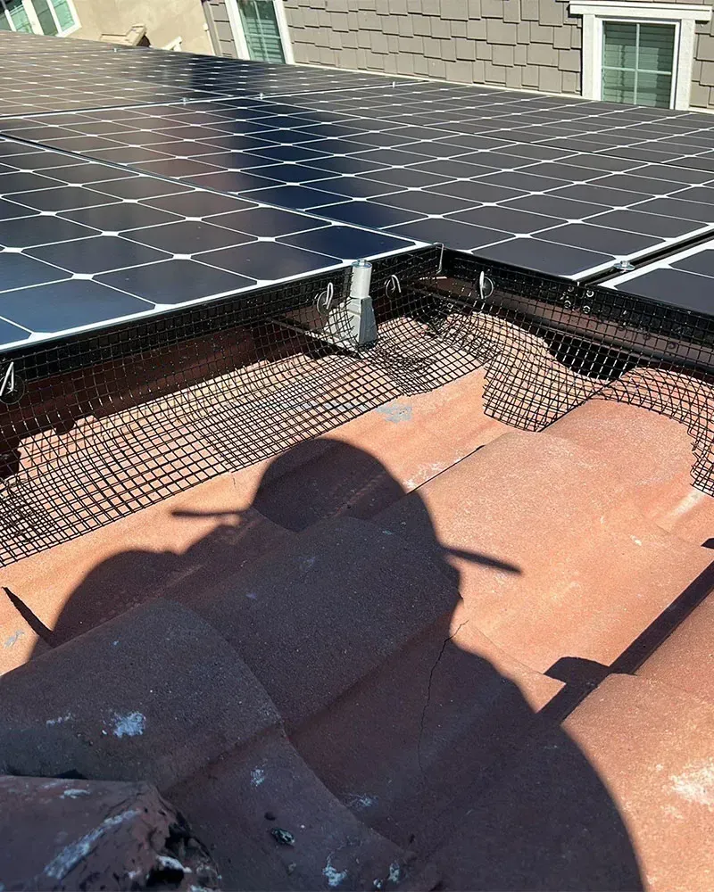 Solar Panel with Birdproofing — Sacramento, CA — All One Solar Shine
