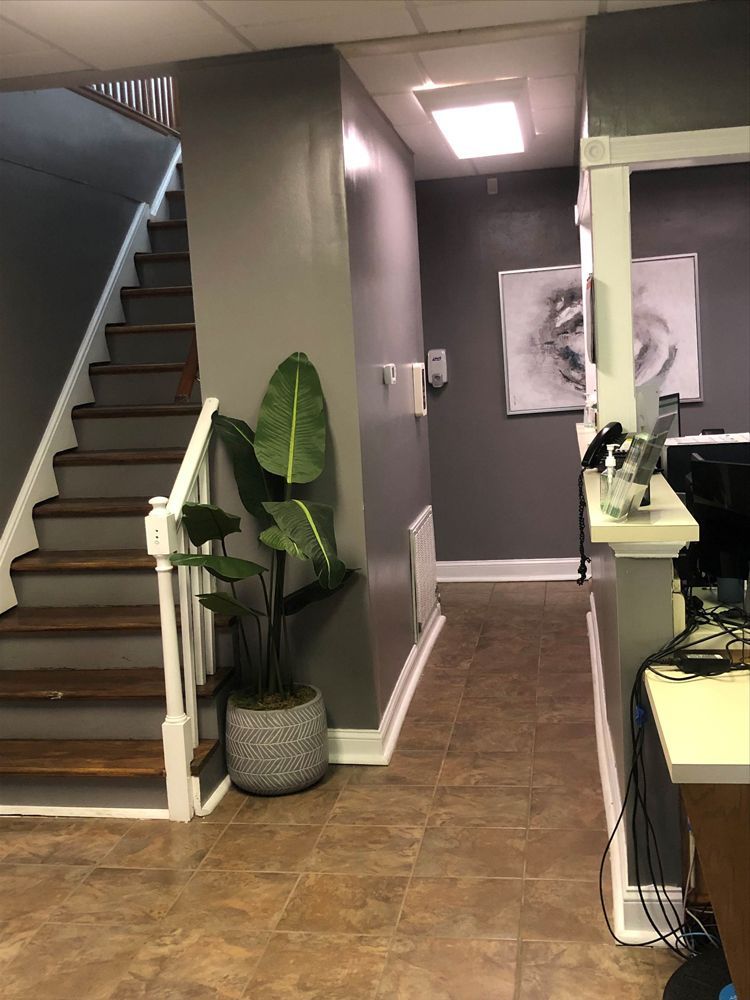 A hallway with stairs and a potted plant on the floor.