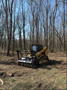A yellow tracked skid steer with a forestry mulcher attachment sits in a cleared area of a dense, bare-branched forest.
