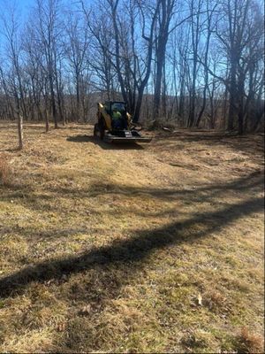 A yellow skid steer loader sits on a dry, grassy clearing in front of a dense, bare-branched forest under a blue sky.