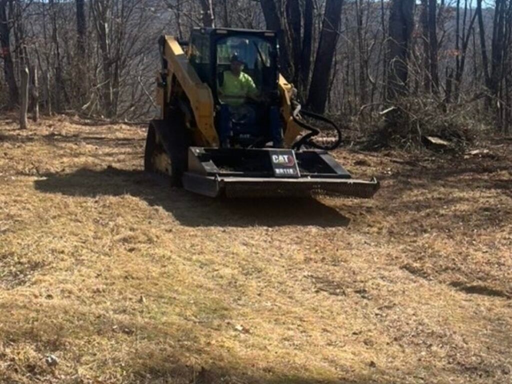 A yellow excavator with a claw attachment clearing a wooded area and moving debris from fallen pine trees.