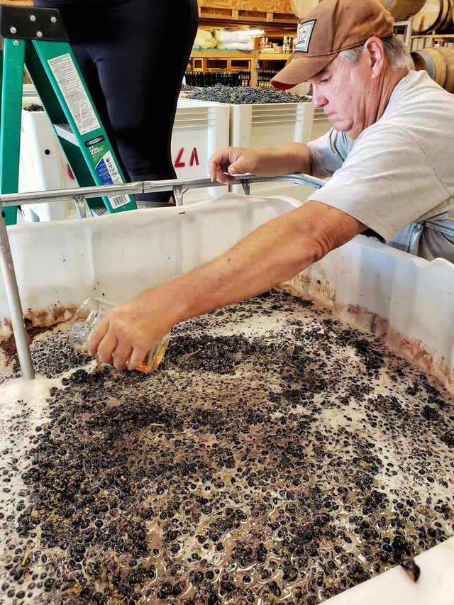 Man inspecting a large bin of mixed grain or compost at a market or workshop