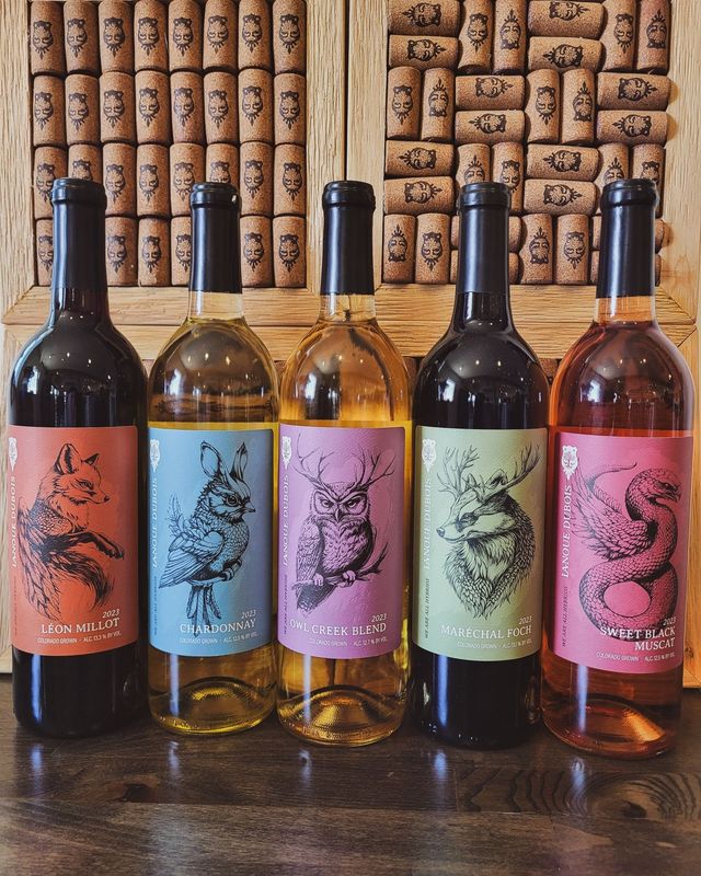 Five wine bottles with colorful labels on a wooden table in front of a cork wall display