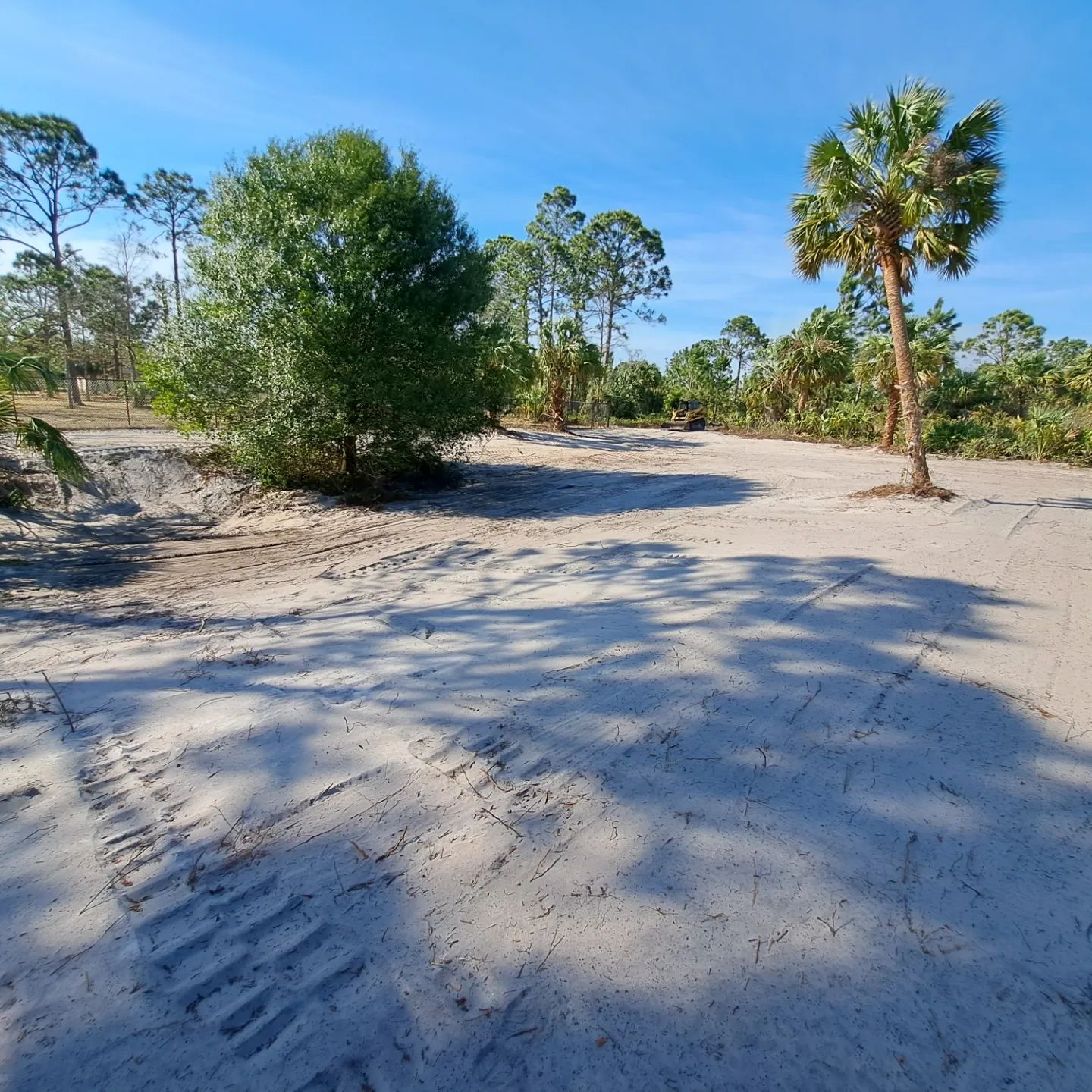 A dirt road with palm trees in the background