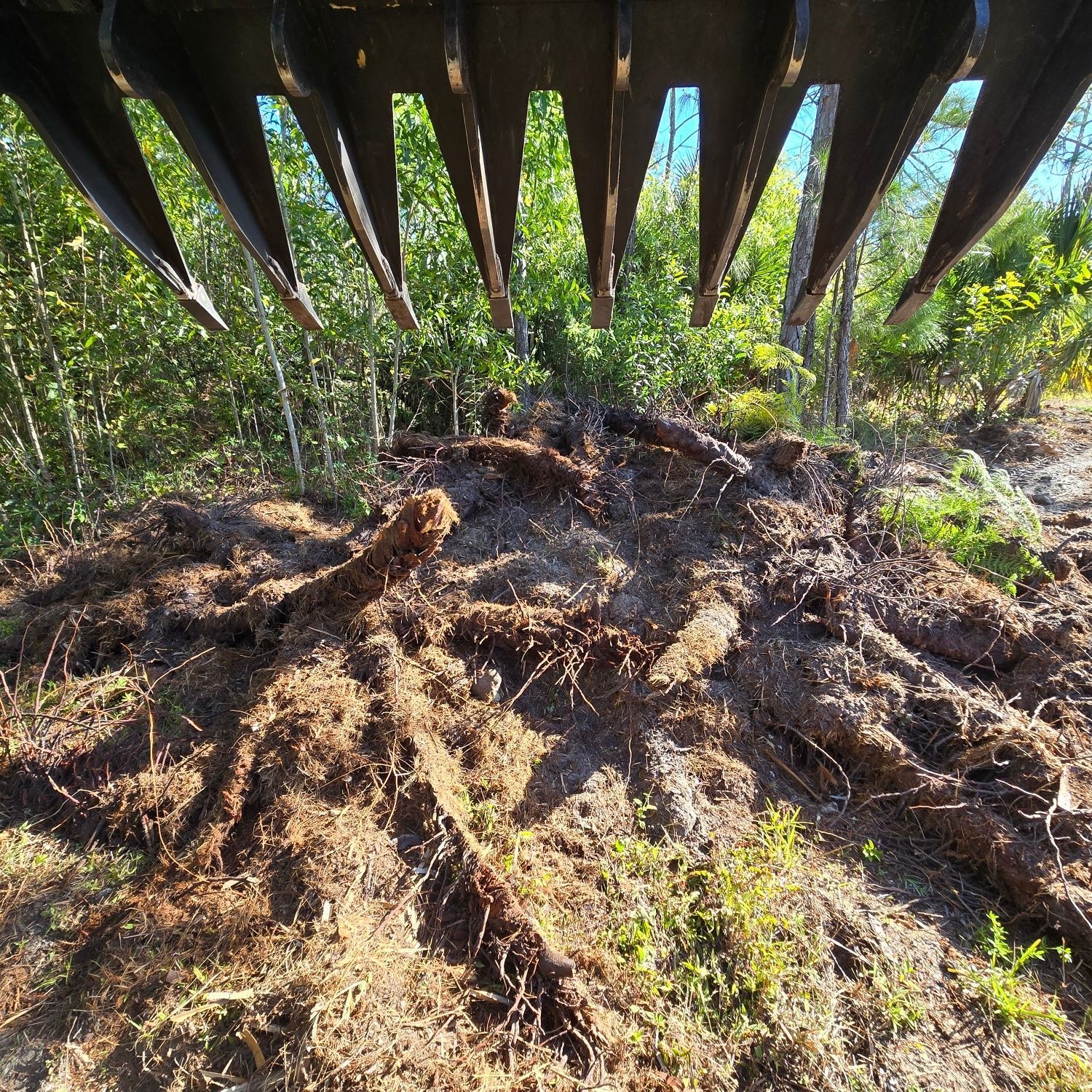 A large pile of dirt and roots in the middle of a forest