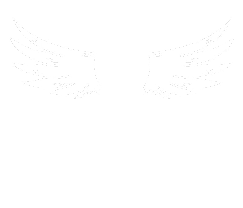 Angel City Properties