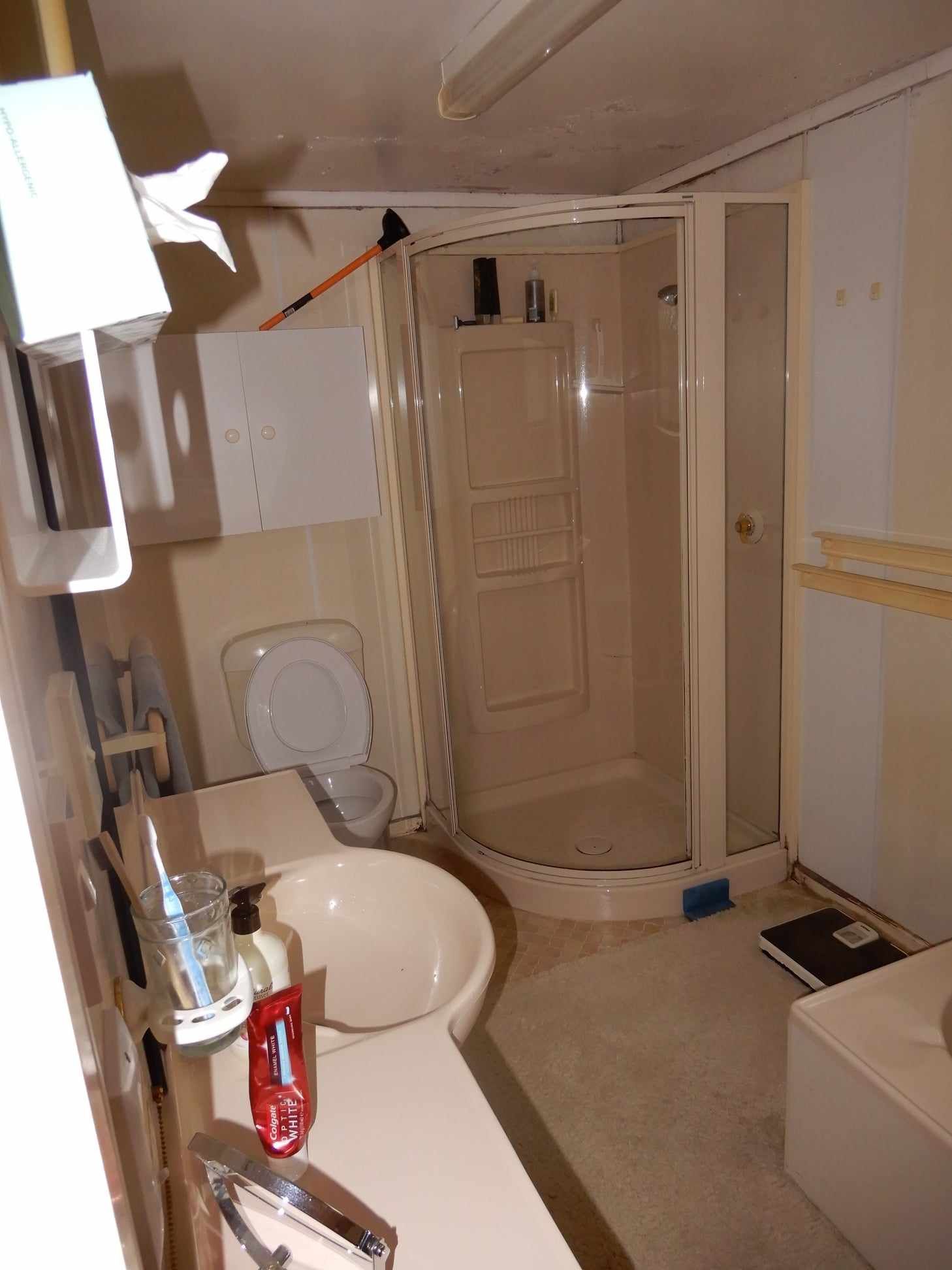 bathroom before makeover