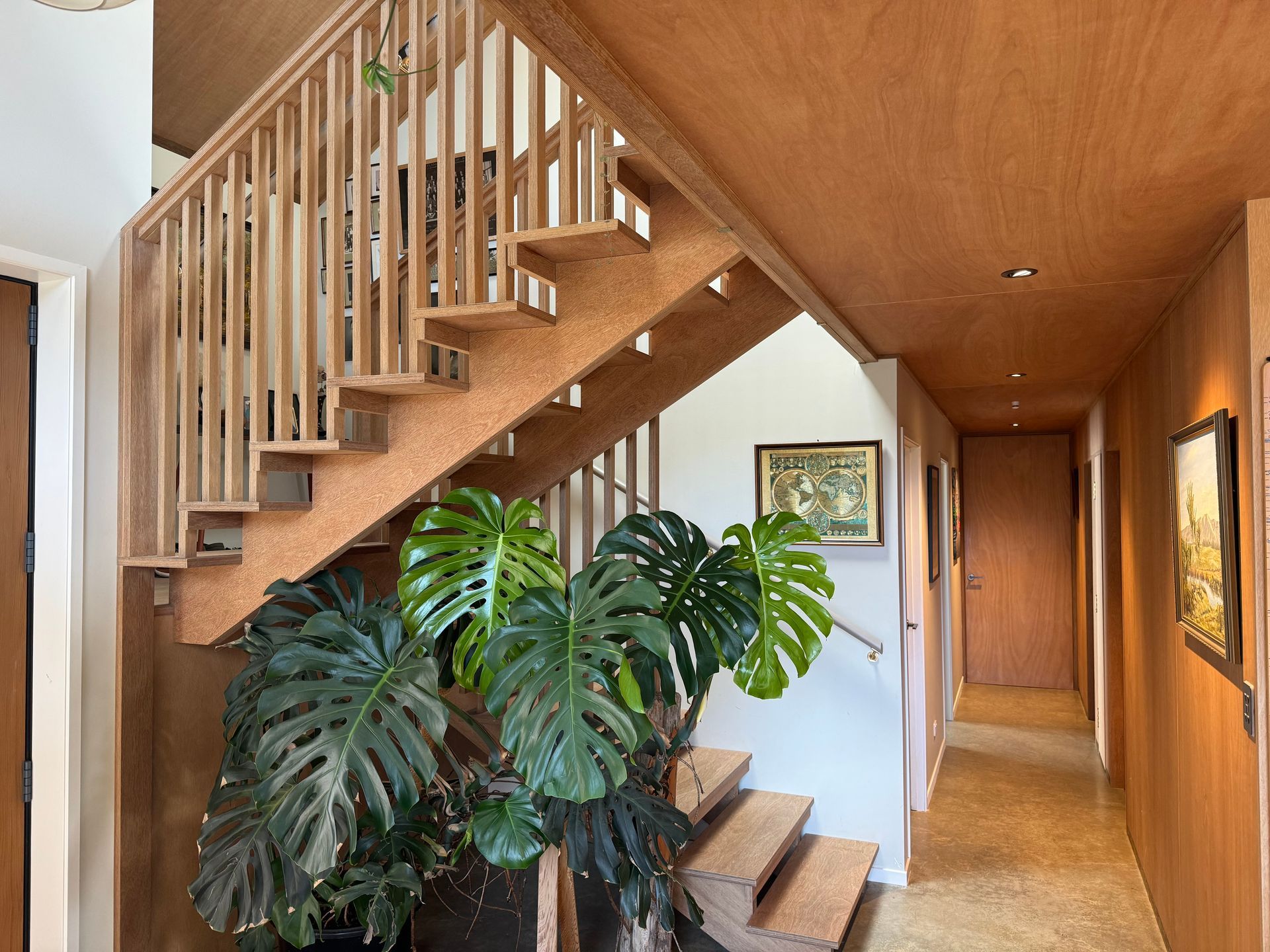 A wooden staircase with a plant in the middle of it.