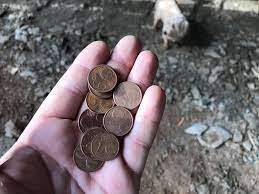 A person is holding a handful of coins in front of a pig.
