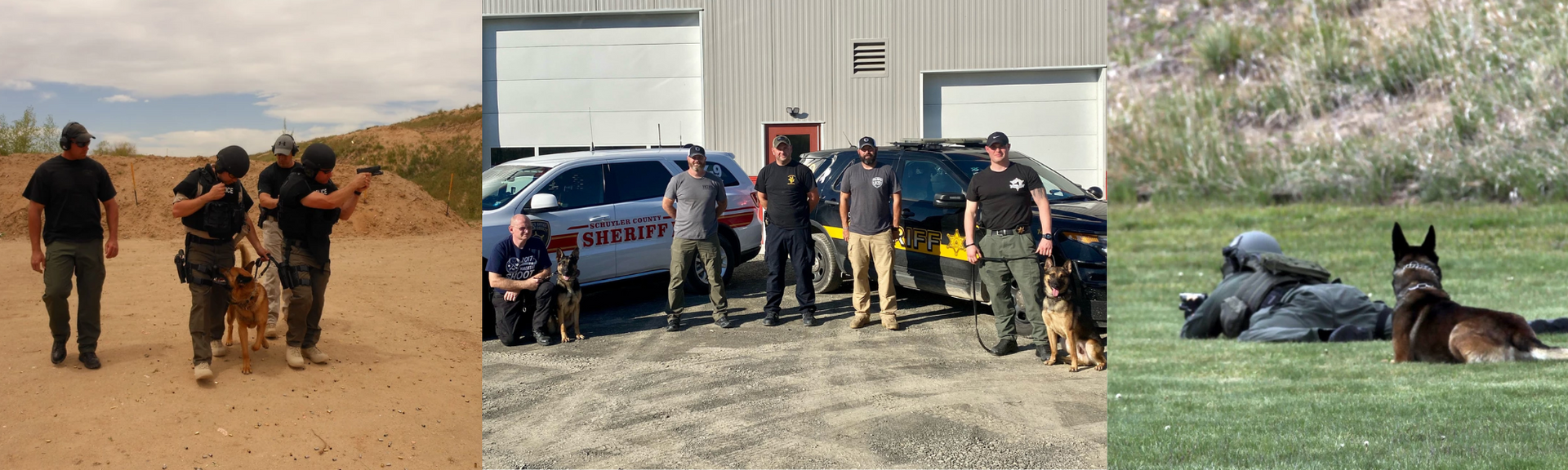 Three police dogs with handlers in a dirt lot near parked vehicles and a dog resting on grass