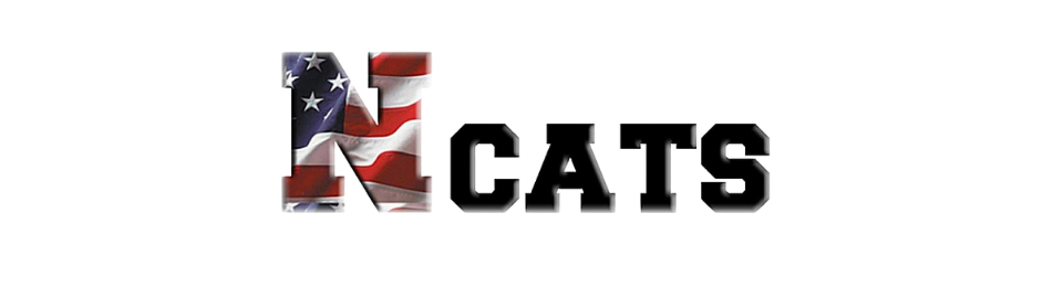 Ncats logo with a stylized red, white, and blue letter N and bold black text