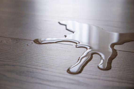 Spilled water puddle on a light brown wooden floor, reflecting light.