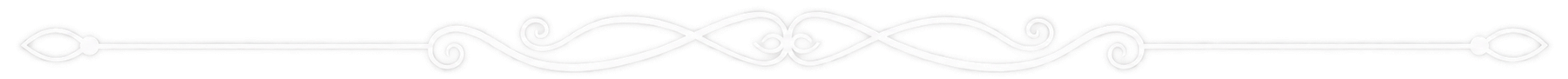 Thin horizontal gray decorative bar with faint swirl patterns on a white background